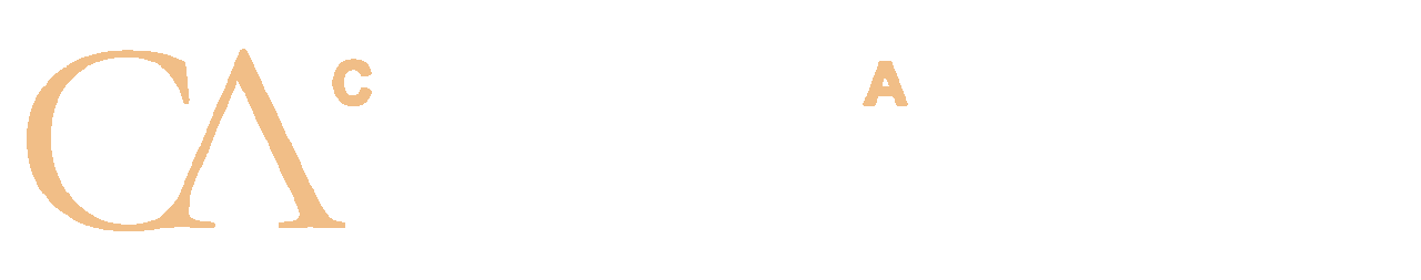 LOGO CASTROS TRANS2